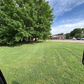 yard care by Mosqueda Services reviewed on November 19, 2025