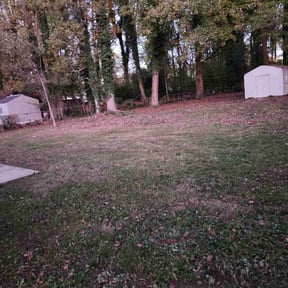 Bush Trimming by AC LAWN CARE SERVICES LLC reviewed on August 15, 2025