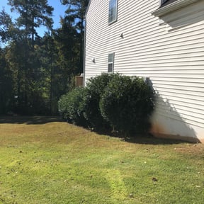 Bush Trimming by Affordable Lawncare Co. reviewed on August 15, 2025