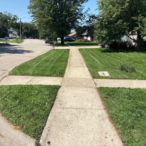 Flower Bed Weeding by ALL PRO LLC reviewed on May 8, 2025