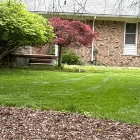 lawn care services by Cedar Hill Lawn Maintenance reviewed on September 28, 2023