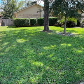 Lawn Mowing by Campos Lawn Services reviewed on August 18, 2025