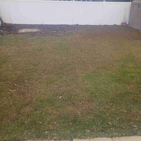 Leaf Removal by José Peraza All House Service reviewed on October 19, 2025