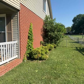 Flower Bed Weeding by JD Lawn care and property maintenance reviewed on August 15, 2025