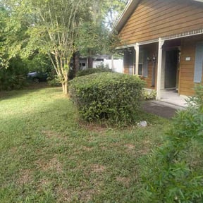 Bush Trimming by M & F Landscaping Services LLC reviewed on August 16, 2025