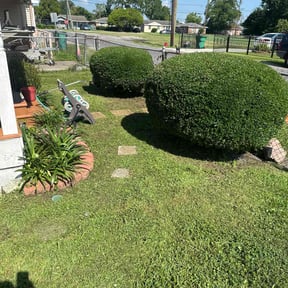 Bush Trimming by Texas Compass reviewed on August 15, 2025