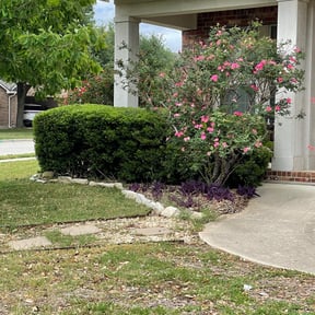 Bush Trimming by Universal lawnscaping reviewed on August 20, 2025