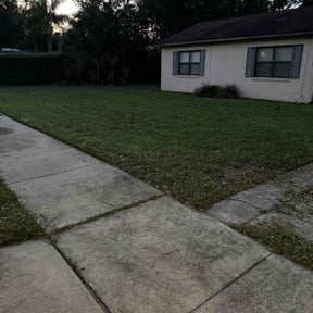 turf care by Weed Whacker Lawn Care reviewed on November 9, 2017