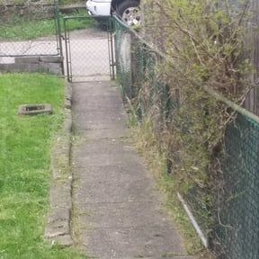 Leaf Removal by The Perfect Lawn LLC reviewed on September 30, 2025