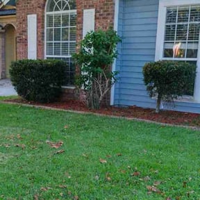 Bush Trimming by It Grow We Mow Lawncare LLC reviewed on August 20, 2025