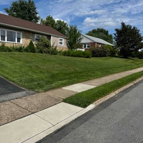 gardening service by Hugo Lopez Landscaping reviewed on August 16, 2025