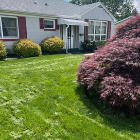 Long Grass Cleanup by Bello Landscape LLC reviewed on August 18, 2025