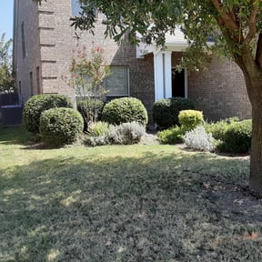 Bush Trimming by Expert Outdoor Services reviewed on August 19, 2025