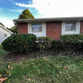 Bush Trimming by K&amp;K Green Grass reviewed on October 22, 2025