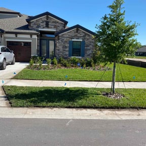 landscaping by Nixon love for lawns reviewed on November 26, 2025