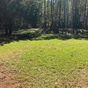 grass maintenance by M&C Lawns and More reviewed on August 3, 2024