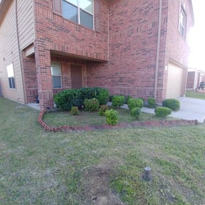 Bush Trimming by C Holzinger Construction reviewed on August 21, 2025