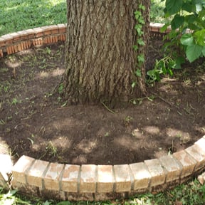 Flower Bed Weeding by Zone life lawn service reviewed on August 15, 2025