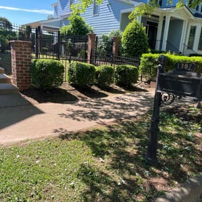 Bush Trimming by Lawn Pro reviewed on August 15, 2025