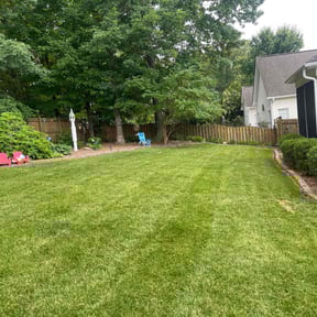 yard work by Delgado landscaping reviewed on August 20, 2025