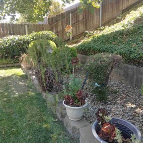 Leaf Removal by Profesional Affordable Landscaping reviewed on September 12, 2025