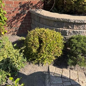 Flower Bed Weeding by JD&#039;s Green stride solutions reviewed on November 7, 2025