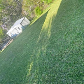 grass maintenance by Precision Lawn &amp; Property Services, LLC reviewed on April 16, 2025