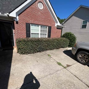 Bush Trimming by Green Magic Lawn Care reviewed on August 18, 2025