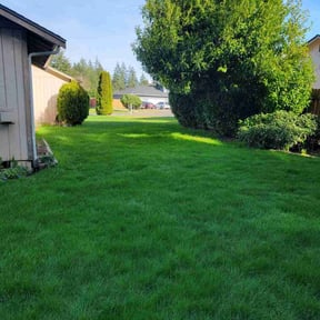 yard service by Mow and grow lawncare service reviewed on August 20, 2025