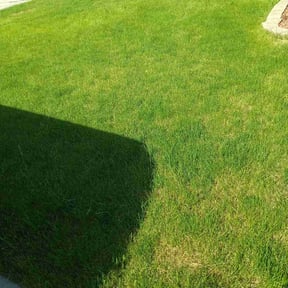 yard service by 5K Landscape reviewed on August 16, 2025