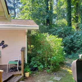Bush Trimming by E&D Property Solutions reviewed on August 18, 2025