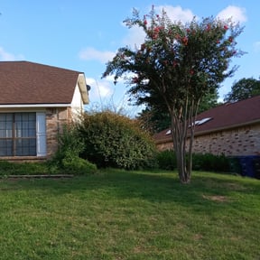 Bush Trimming by Quality Lawn Care of NEPA reviewed on August 18, 2025