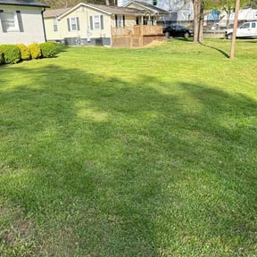 Long Grass Cleanup by Bo's lawn care reviewed on August 16, 2025