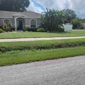 landscape maintenance by Stand lawn care Services reviewed on August 20, 2025