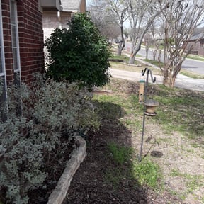 Bush Trimming by K.M.W. Lawn Services &amp; Logistics LLC reviewed on August 15, 2025