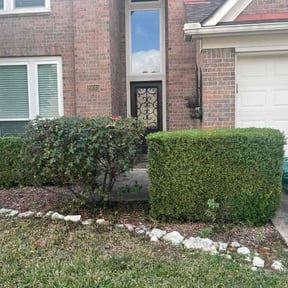 Bush Trimming by Richard Buricca reviewed on December 20, 2025