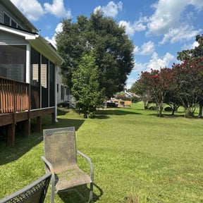 turf care by Diamond Cuts reviewed on August 20, 2025