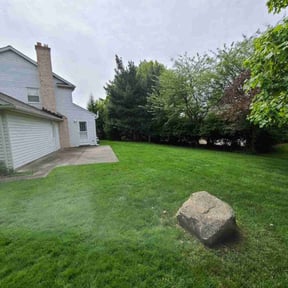 yard work by The Williams reviewed on August 15, 2025