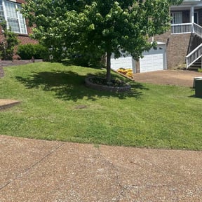 lawn care services by Nichols Lawn & Landscaping reviewed on April 29, 2025