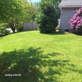 grass maintenance by Green Ranch Lawncare and Pressure Washing reviewed on August 19, 2025