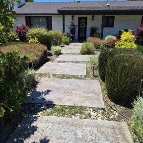 Bush Trimming by Diamond Cut Property Management LLC reviewed on June 12, 2026