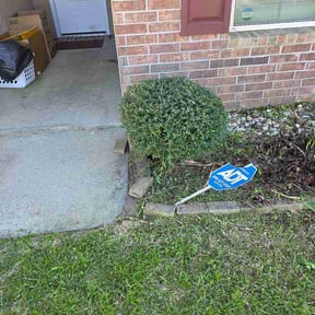 Bush Trimming by RC lawn care reviewed on March 15, 2026