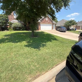 landscaping by Waldmann Landscaping Services Inc. reviewed on August 20, 2025