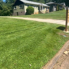 lawn care by Turf Pro reviewed on September 14, 2024