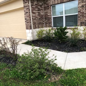 Bush Trimming by Perez cuts reviewed on August 16, 2025