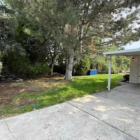 Bush Trimming by A job well done reviewed on November 21, 2025