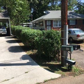 Bush Trimming by Livingoak landscaping and lawn care reviewed on August 19, 2025