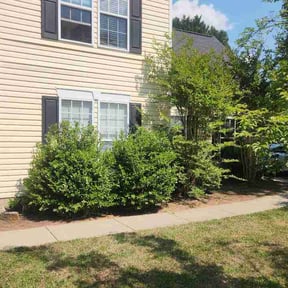 Bush Trimming by FredJr’s lawncare LLC reviewed on April 28, 2026