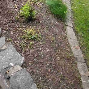 Flower Bed Weeding by Care Free Lawn Care reviewed on May 26, 2026