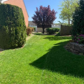 landscaping by Scott Bensing Lawn Care reviewed on November 22, 2025